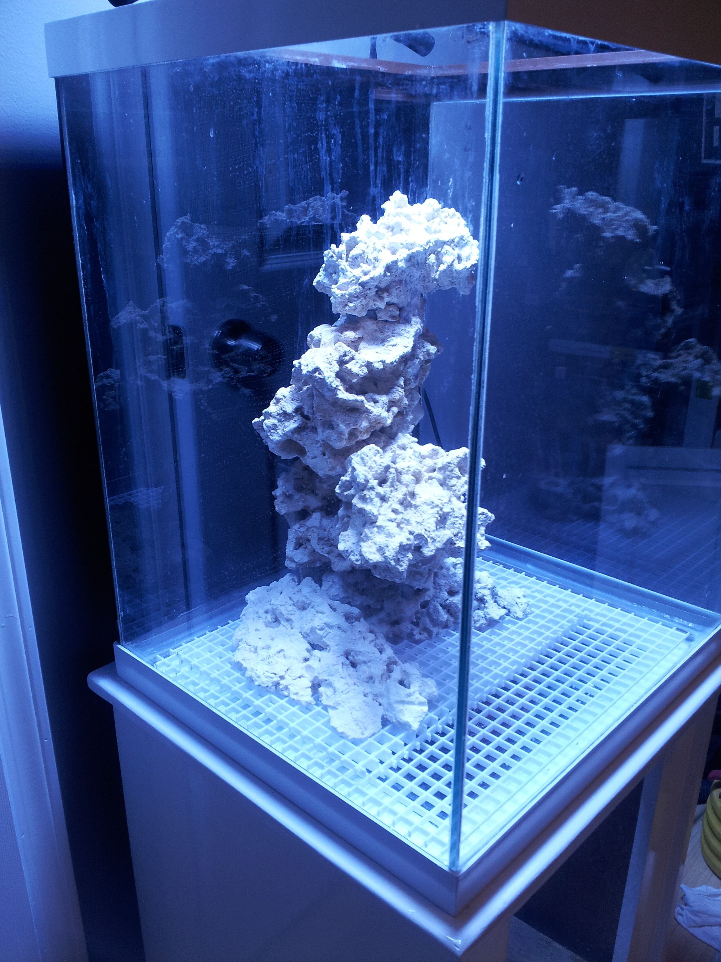 New aquascape | Saltwaterfish Forum