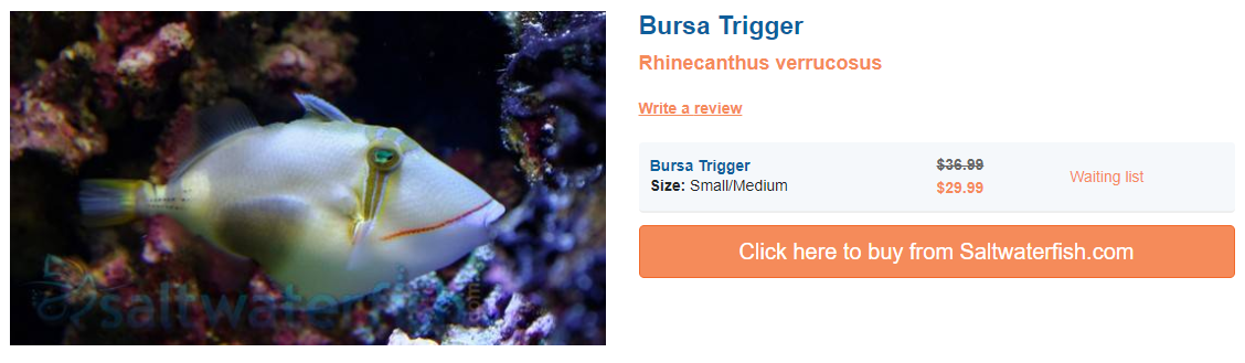 bursa-trigger.png