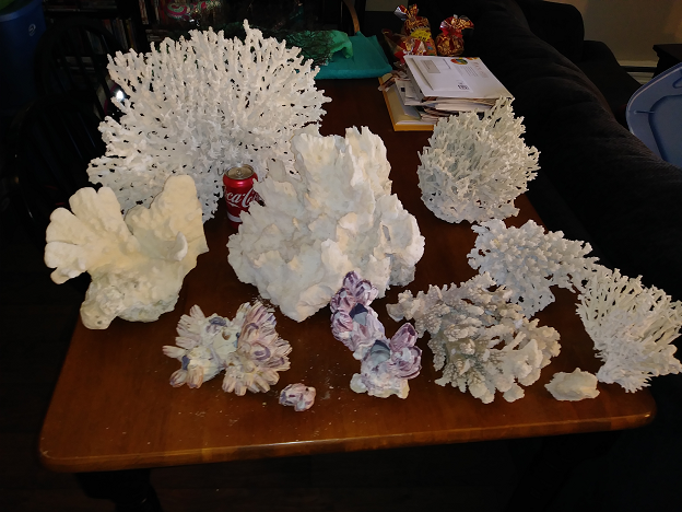 Dry corals 1.png