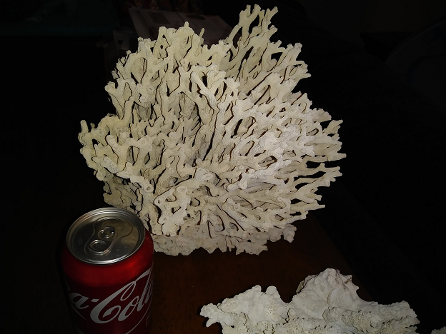 Dry corals 5.png