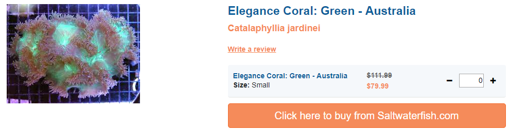 elegance-coral.png