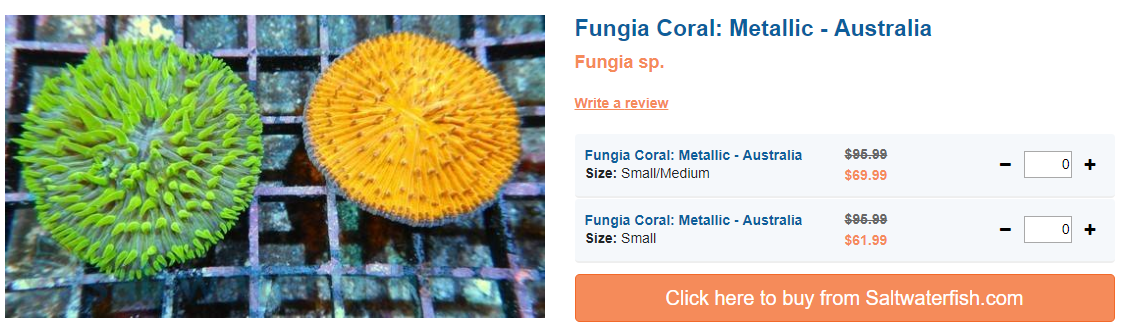 fungia-coral-metallic.png