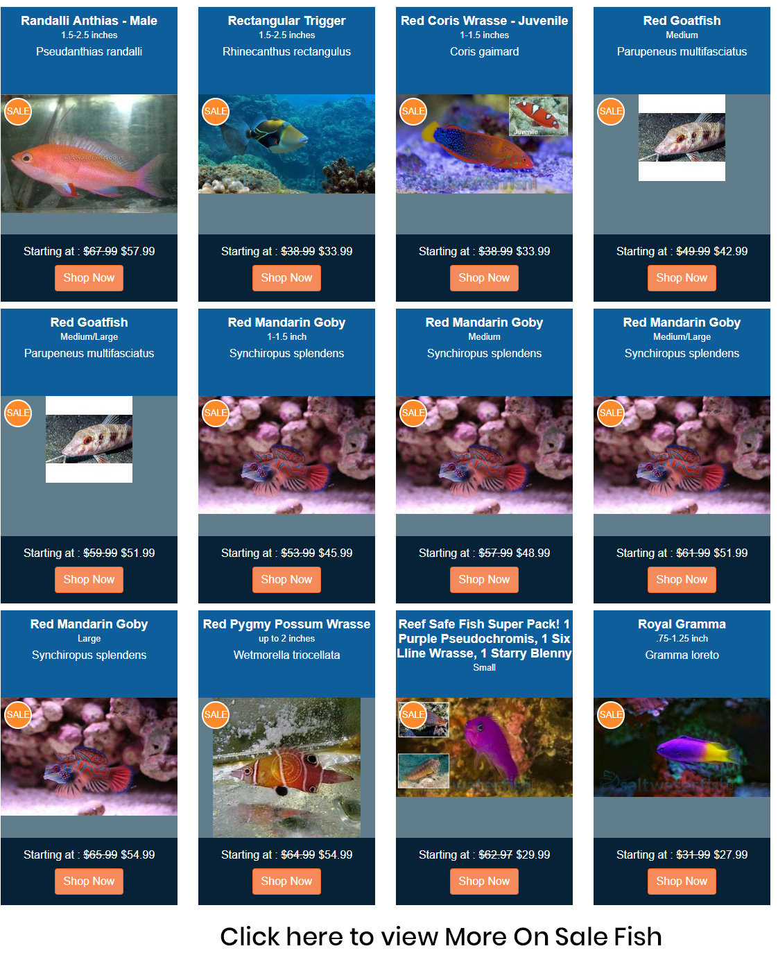 on-sale-fish.jpg