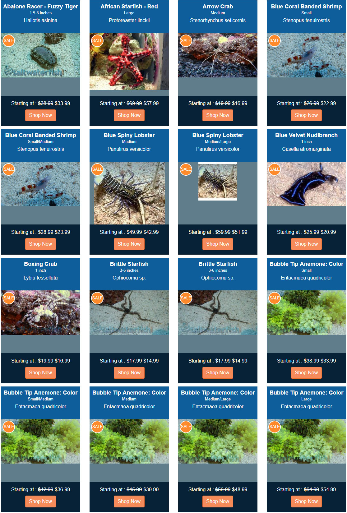 on-sale-invertebrates-opt.jpg