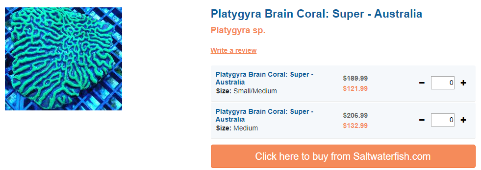 platygyra-brain-coral.png