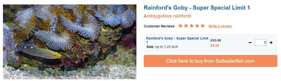 rainford's-goby.png