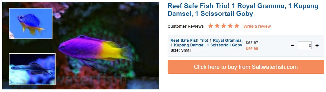 reff-safe-fish.png