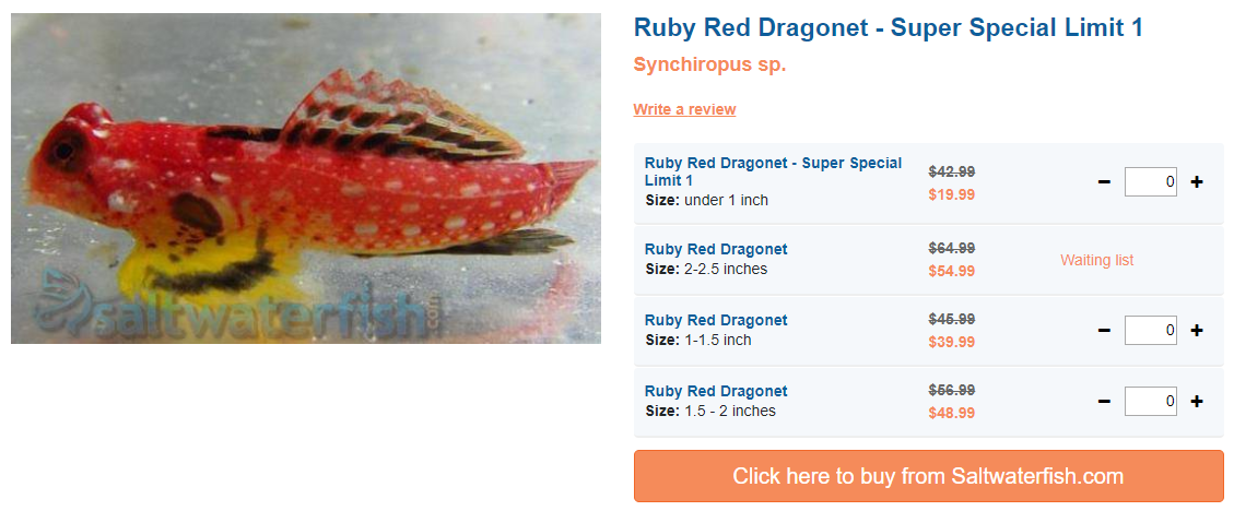 ruby0red-dragonet.png