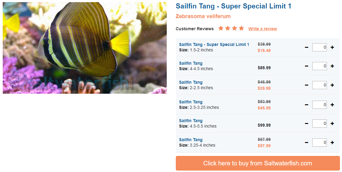 sailfin-tang-super.png