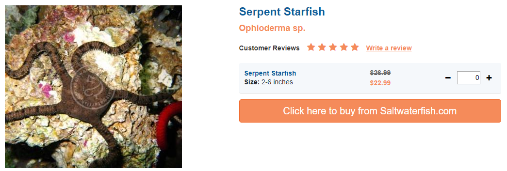 serpent-starfish.png