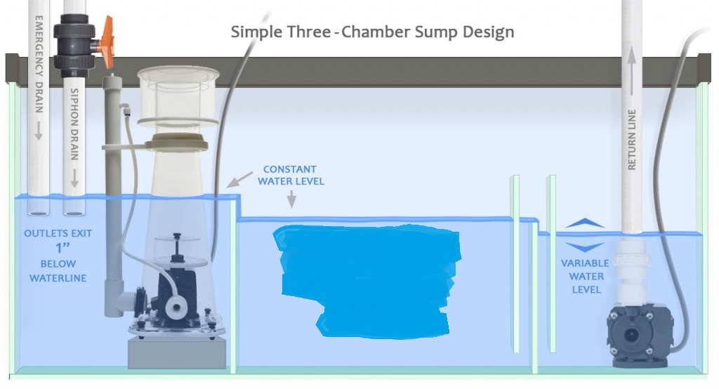 sump-design-diagram-gmacreef-1024x554.jpg