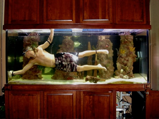 1000 Gallon Aquarium??? | Saltwaterfish.com Forums for Fish Lovers!