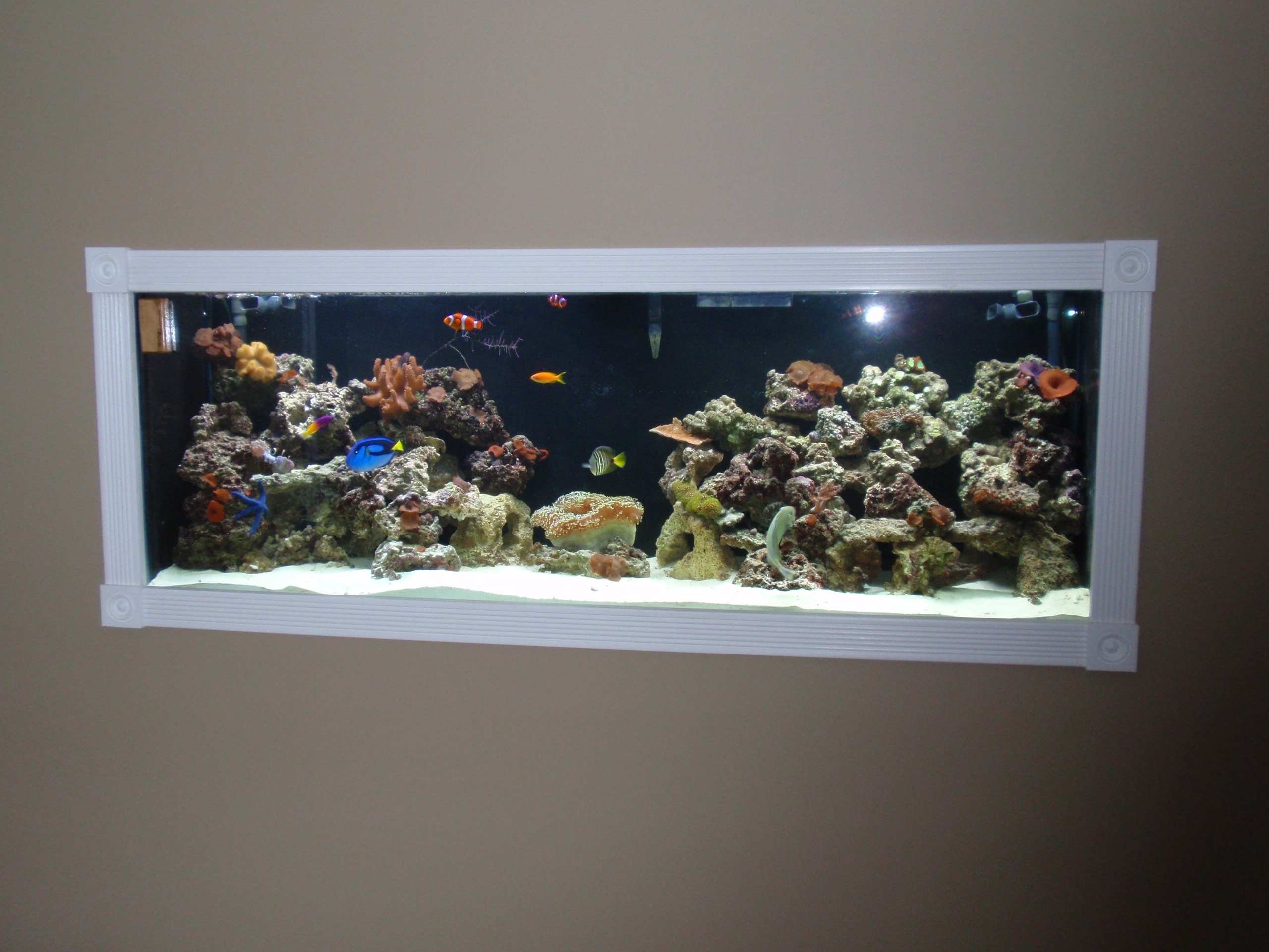 220 In Wall Reef Tank Saltwaterfish Com Forums For Fish Lovers,Sausage Gravy Pizza
