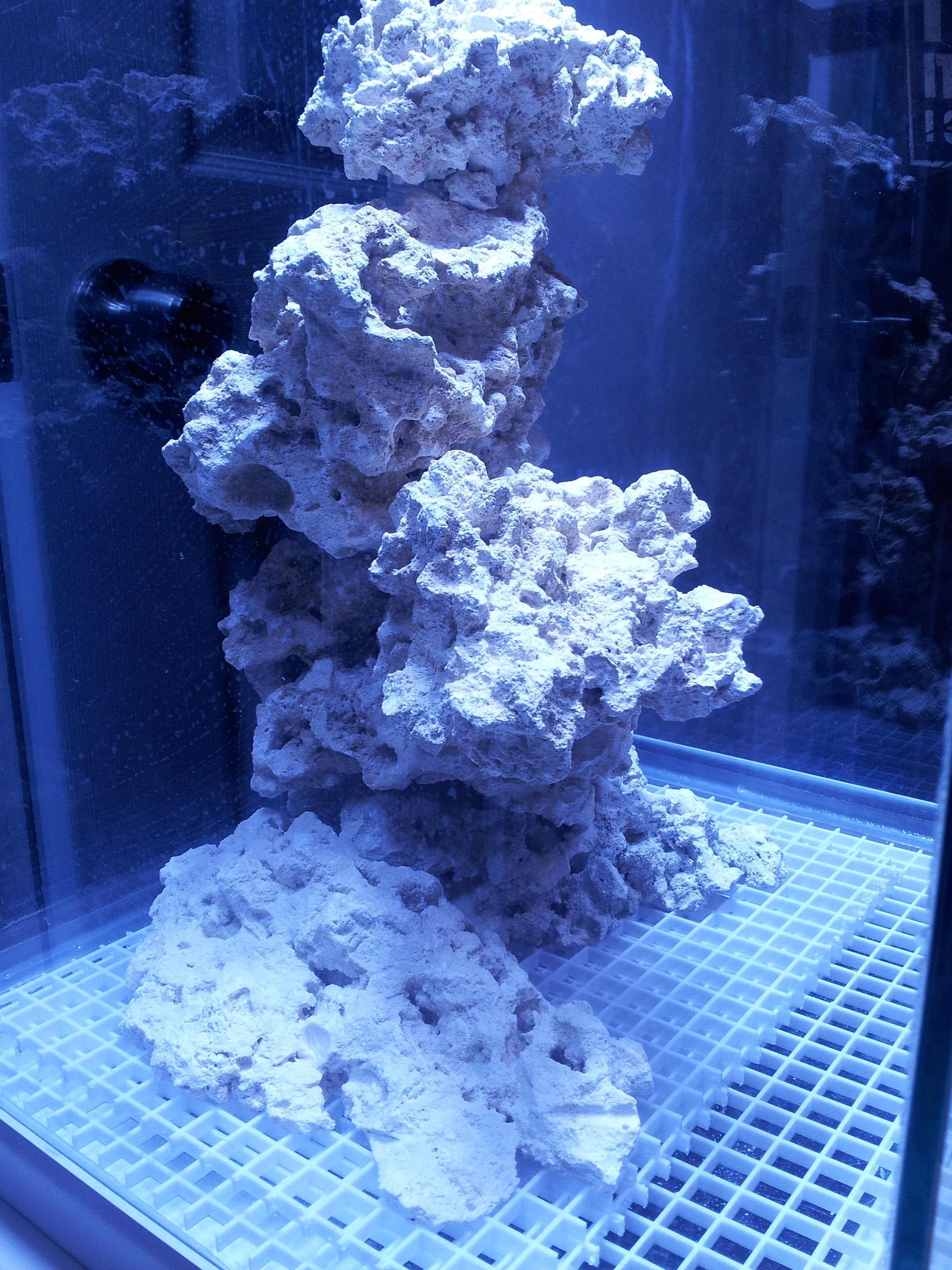 New aquascape  Saltwaterfish.com Forums for Fish Lovers!