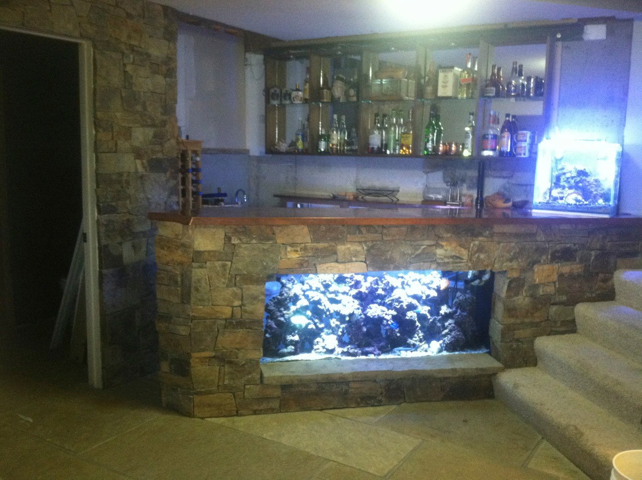 Fish Tank Bar  Saltwaterfish.com Forums for Fish Lovers!