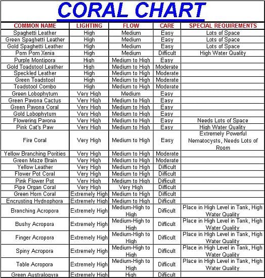 Coral Classification Chart