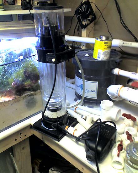 Protein Skimmer for sale | Saltwaterfish.com Forums for Fish Lovers!