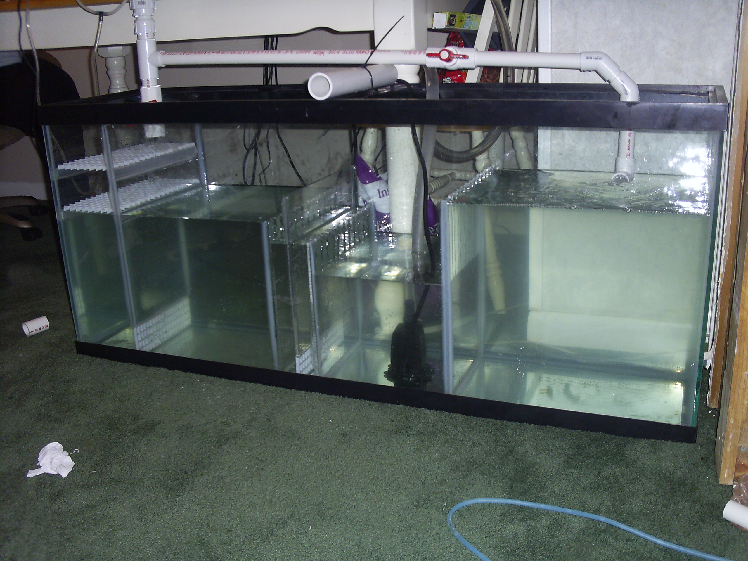 cost aquarium diy acrylic Sump.  for New  Need Forums Fish Selecting Tank Help Lovers! and a Saltwaterfish.com