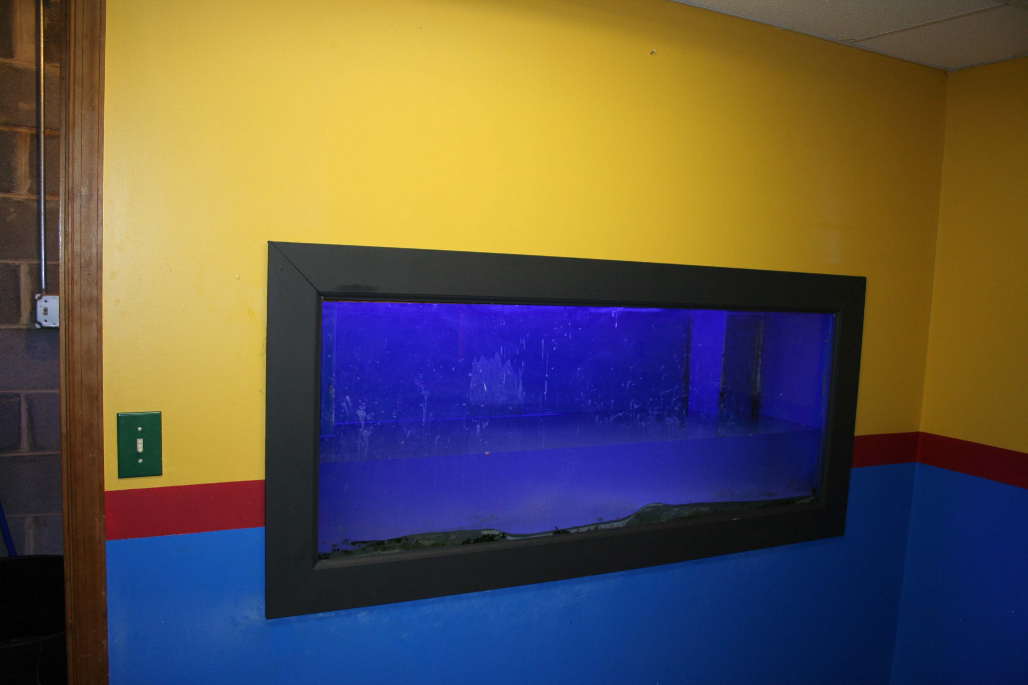 Aquarium move and detailed in wall build