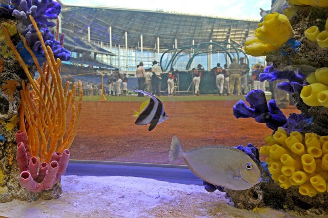 Miami Marlins New Stadium Reef Tank  Saltwaterfish.com Forums for Fish  Lovers!