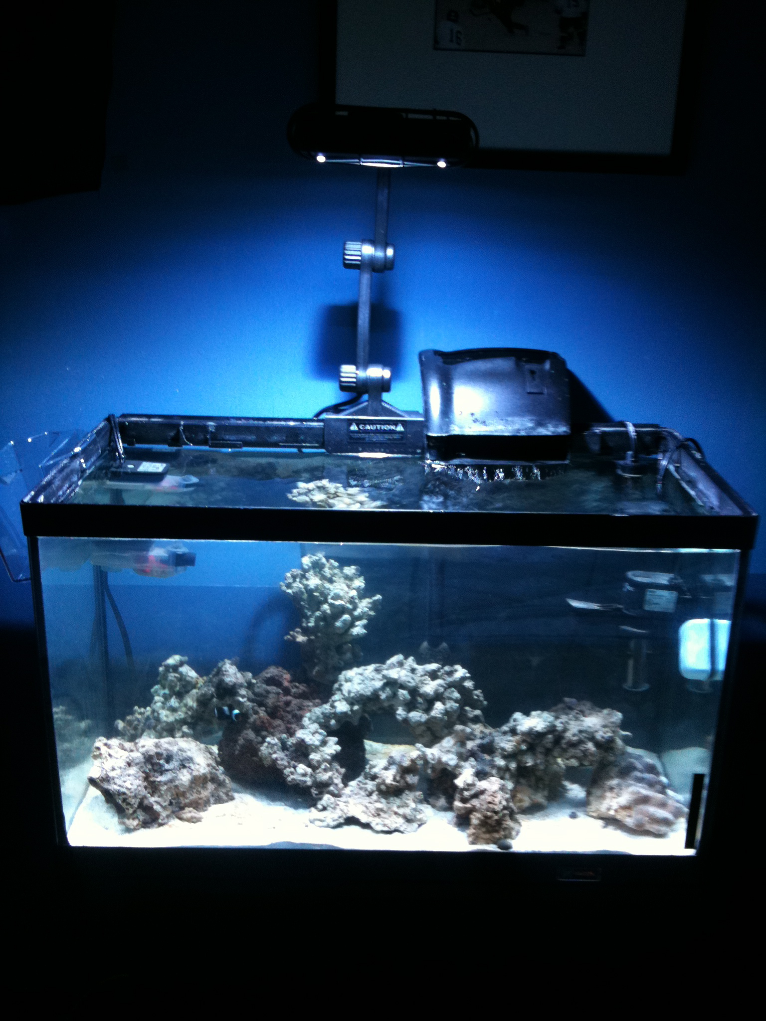 My 25 gallon reef tank build!!! Forums