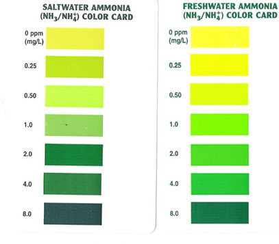 Saltwater Aquarium Levels Chart